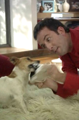 Download free bootstrap 4 landing page, free boootstrap 4 templates, Download free bootstrap 4.1 landing page, free boootstrap 4.1.1 templates, Creative studio Landing page